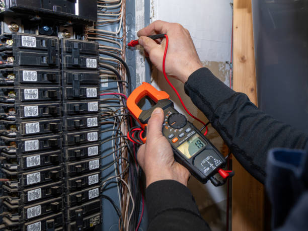 Best Ceiling Fan Installation Electrician  in Gaston, SC